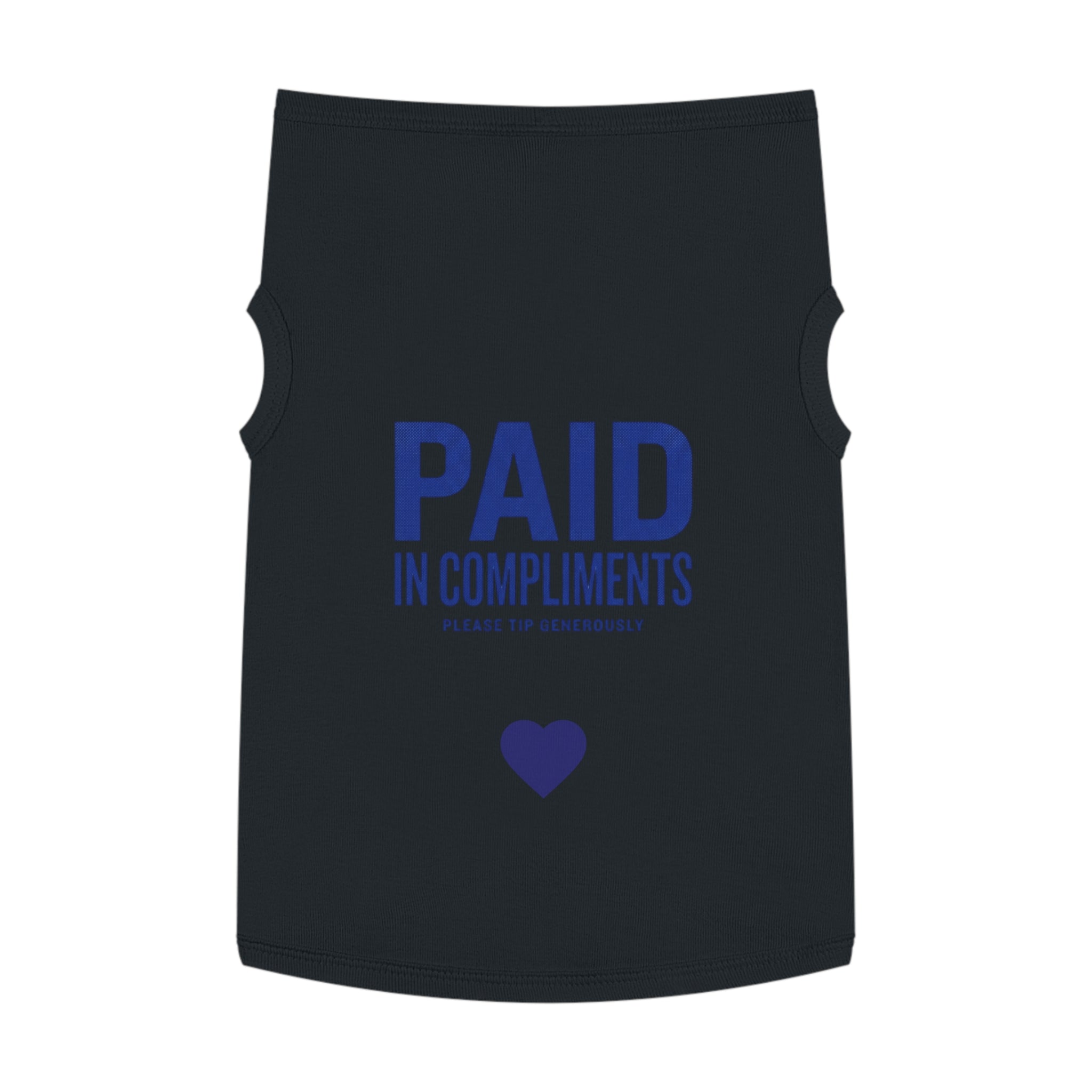 Paid in Compliments | T-Shirt