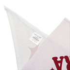 In My Villain Era | Pet Bandana