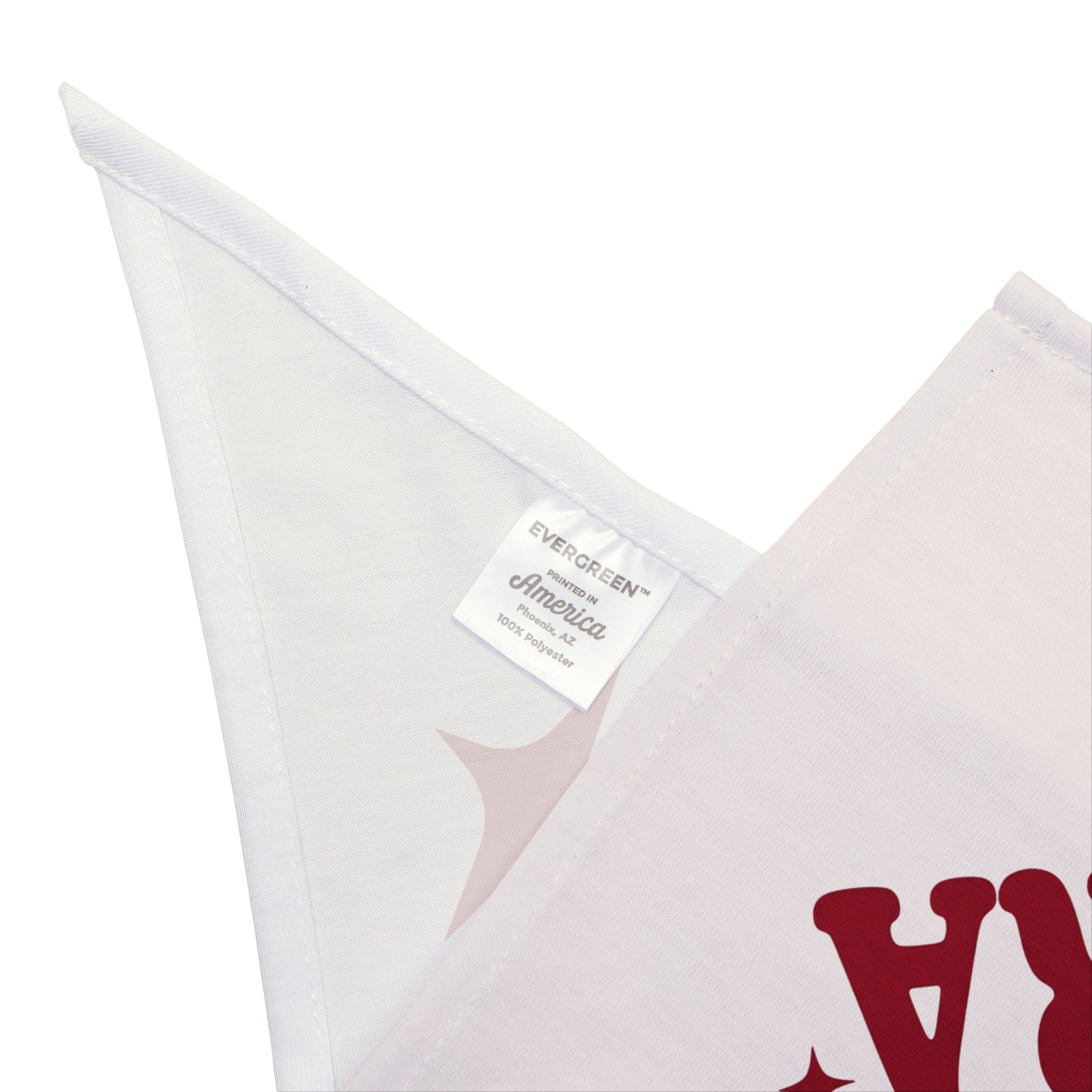In My Villain Era | Pet Bandana