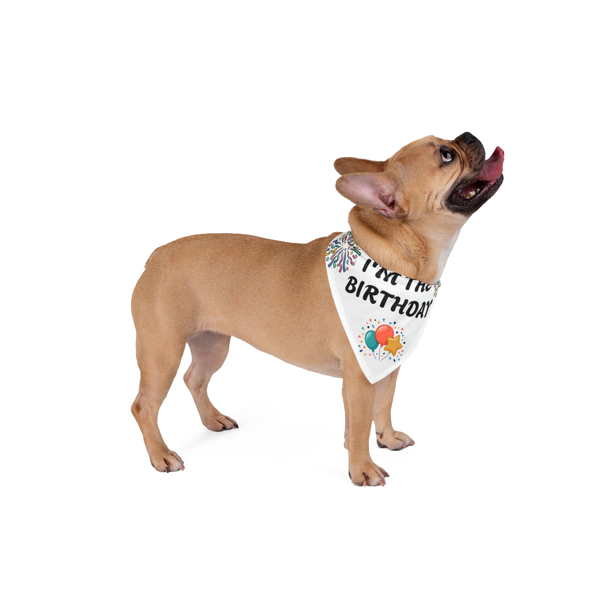 I’m The Birthday | Pet Bandana