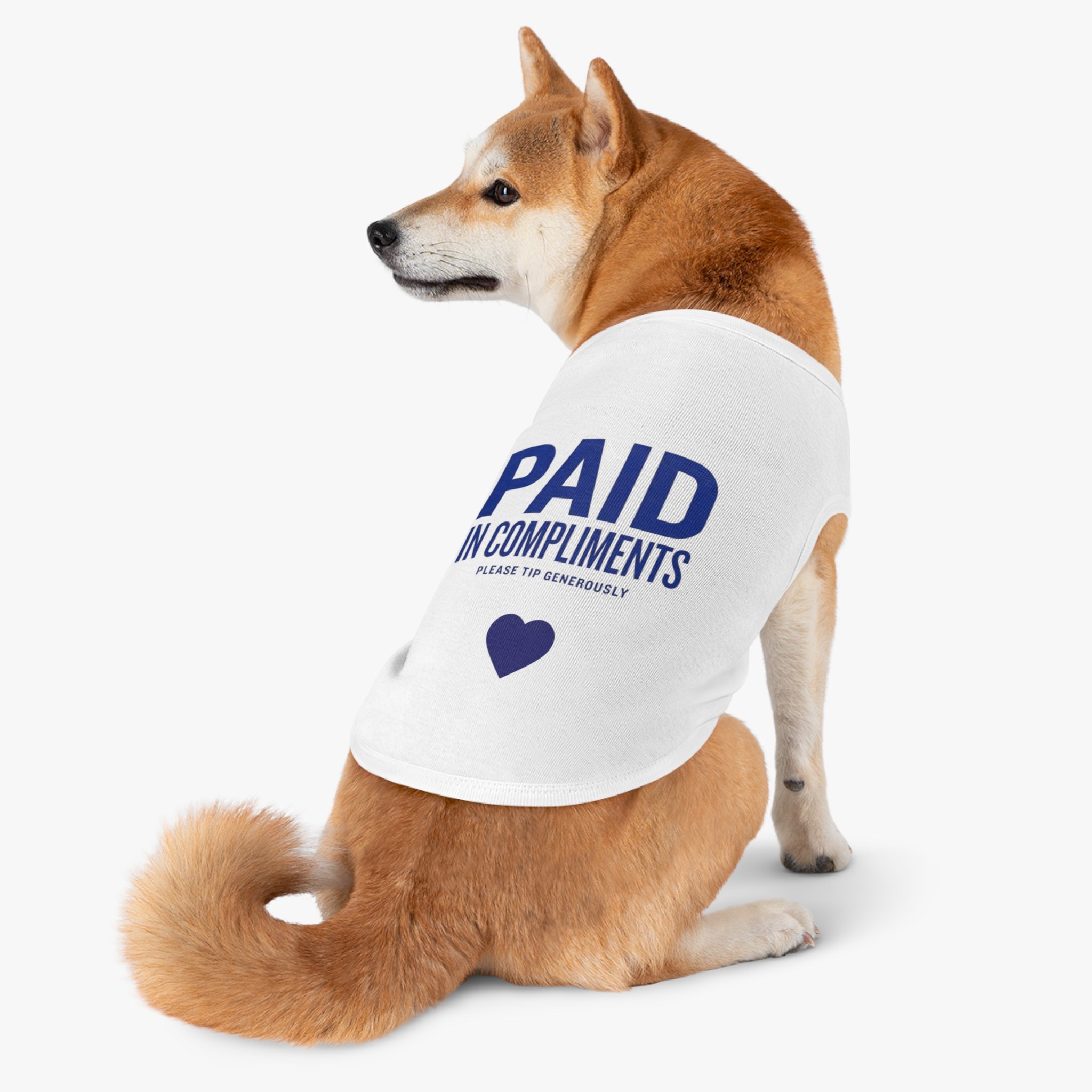 Paid in Compliments | T-Shirt