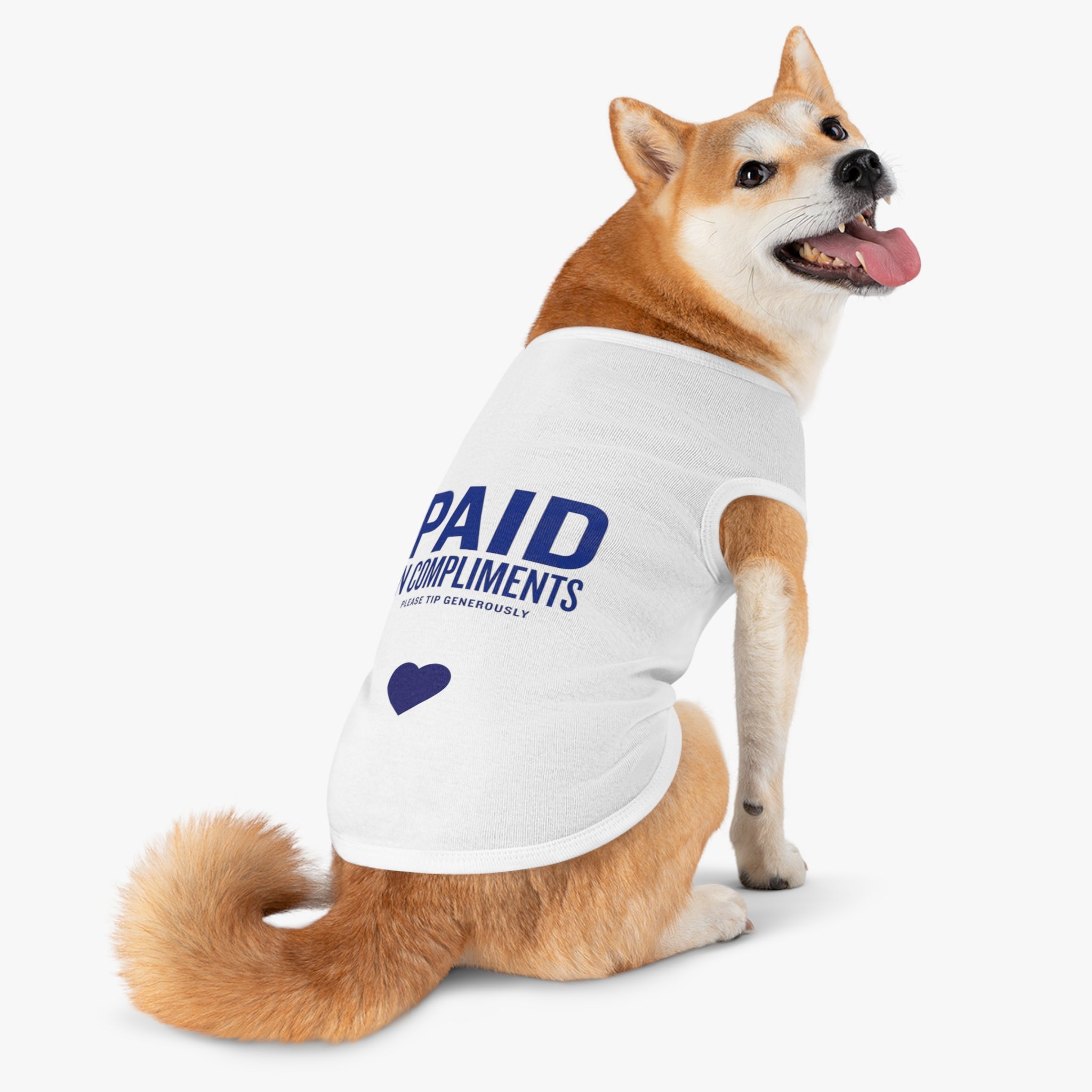 Paid in Compliments | T-Shirt
