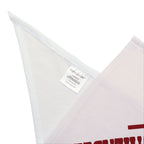 Respectfully I'm Unavailable | Pet Bandana