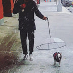 Rain Be Gone Umbrella | Accessories