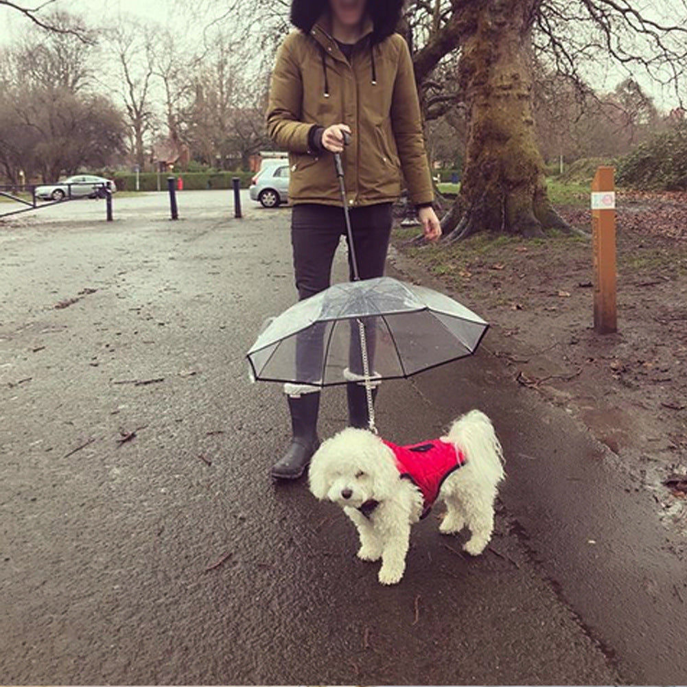 Rain Be Gone Umbrella | Accessories