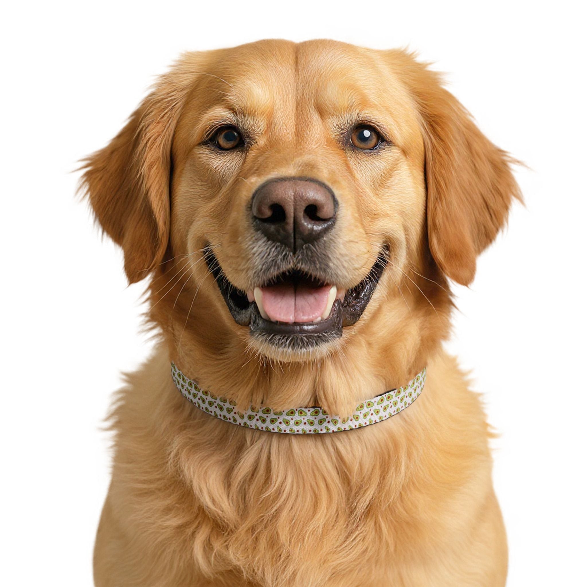 Happy Avocado | Clip Collar