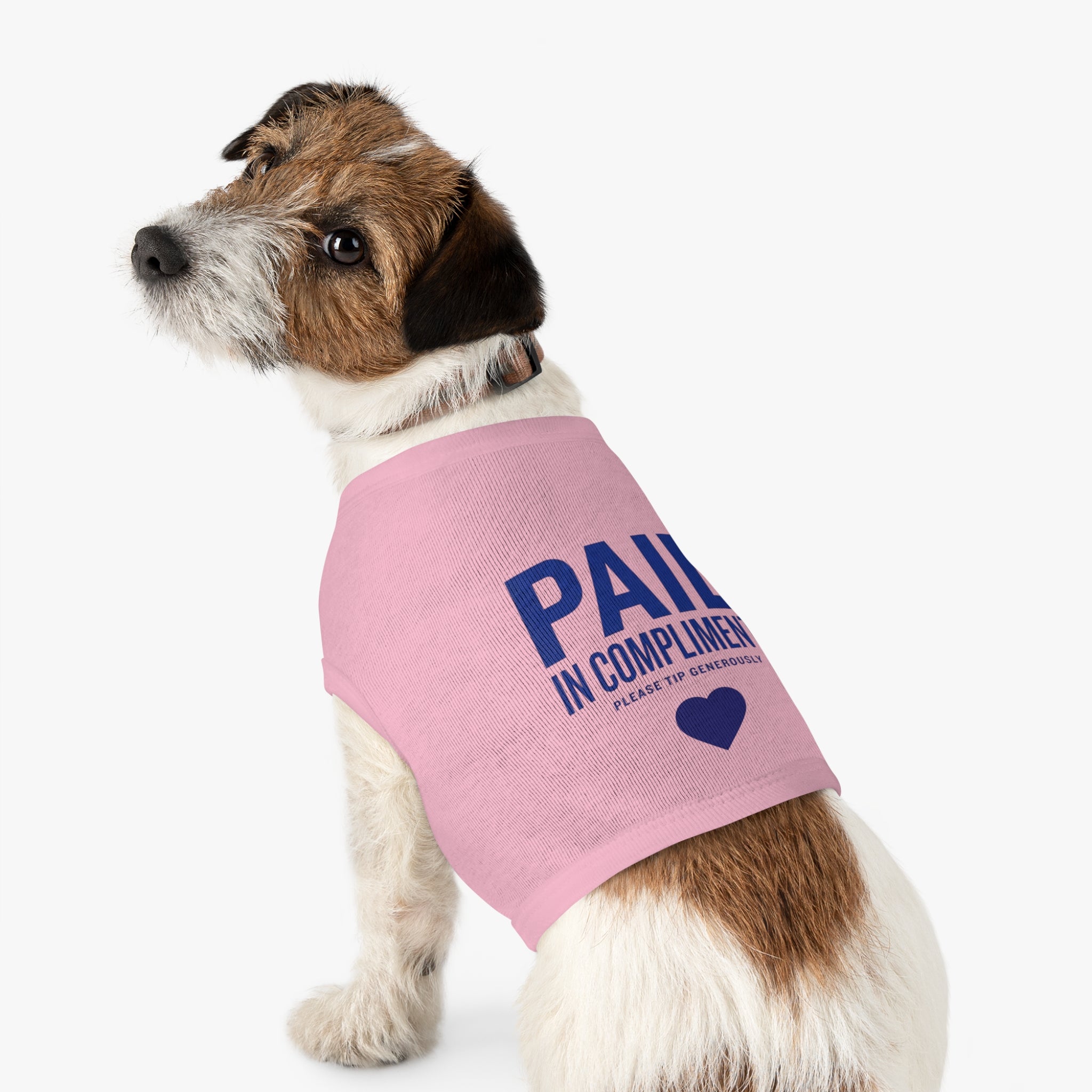 Paid in Compliments | T-Shirt