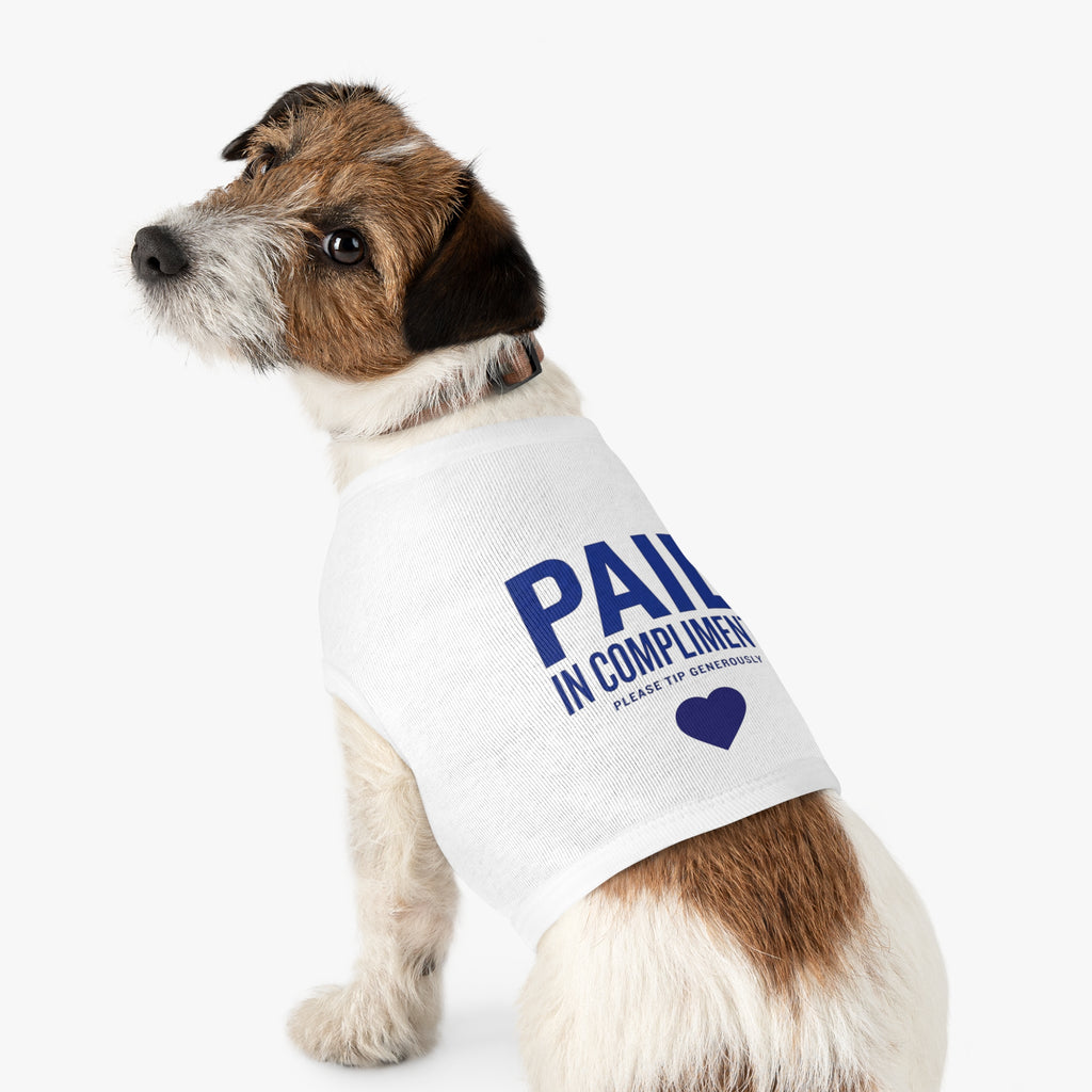 Paid in Compliments | T-Shirt