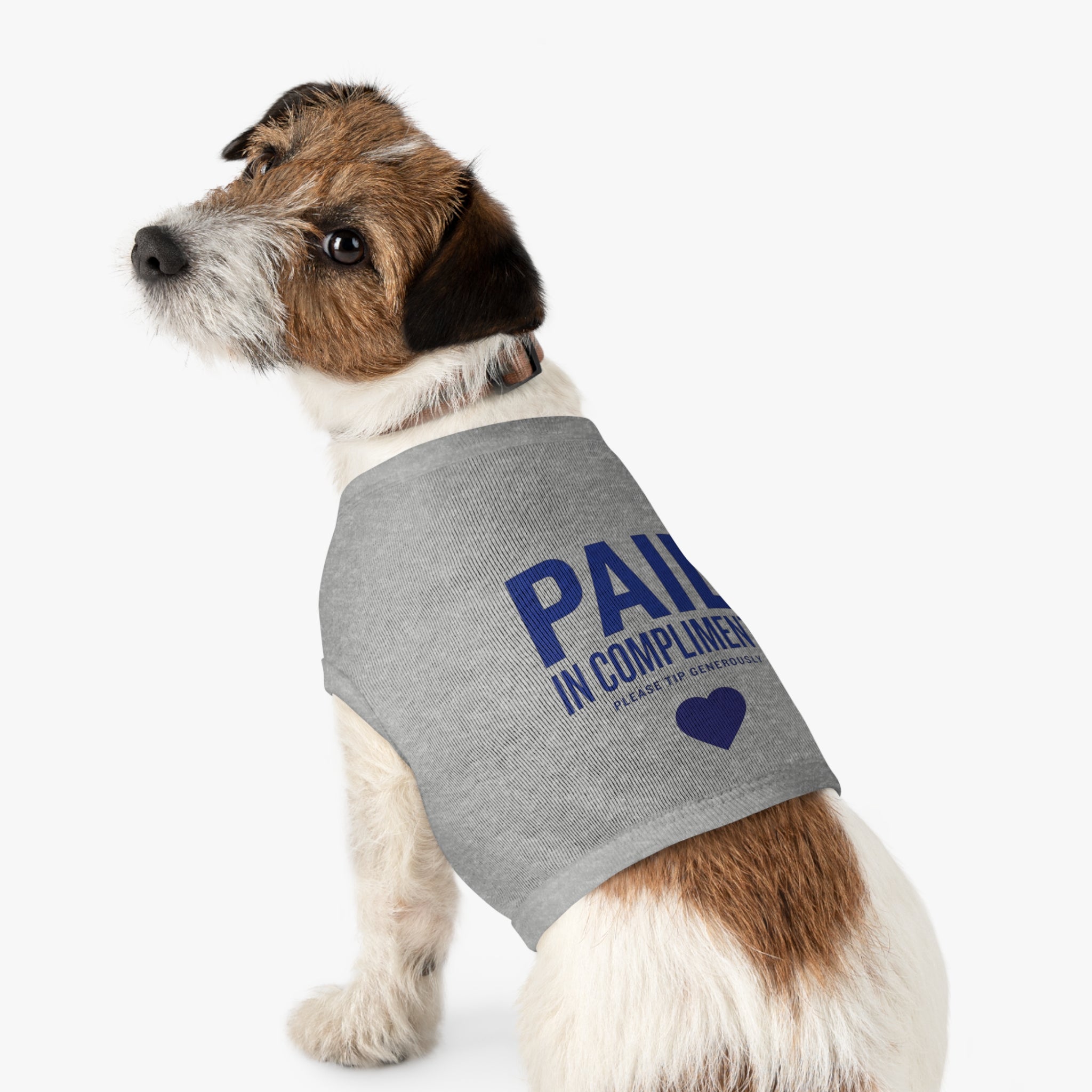 Paid in Compliments | T-Shirt