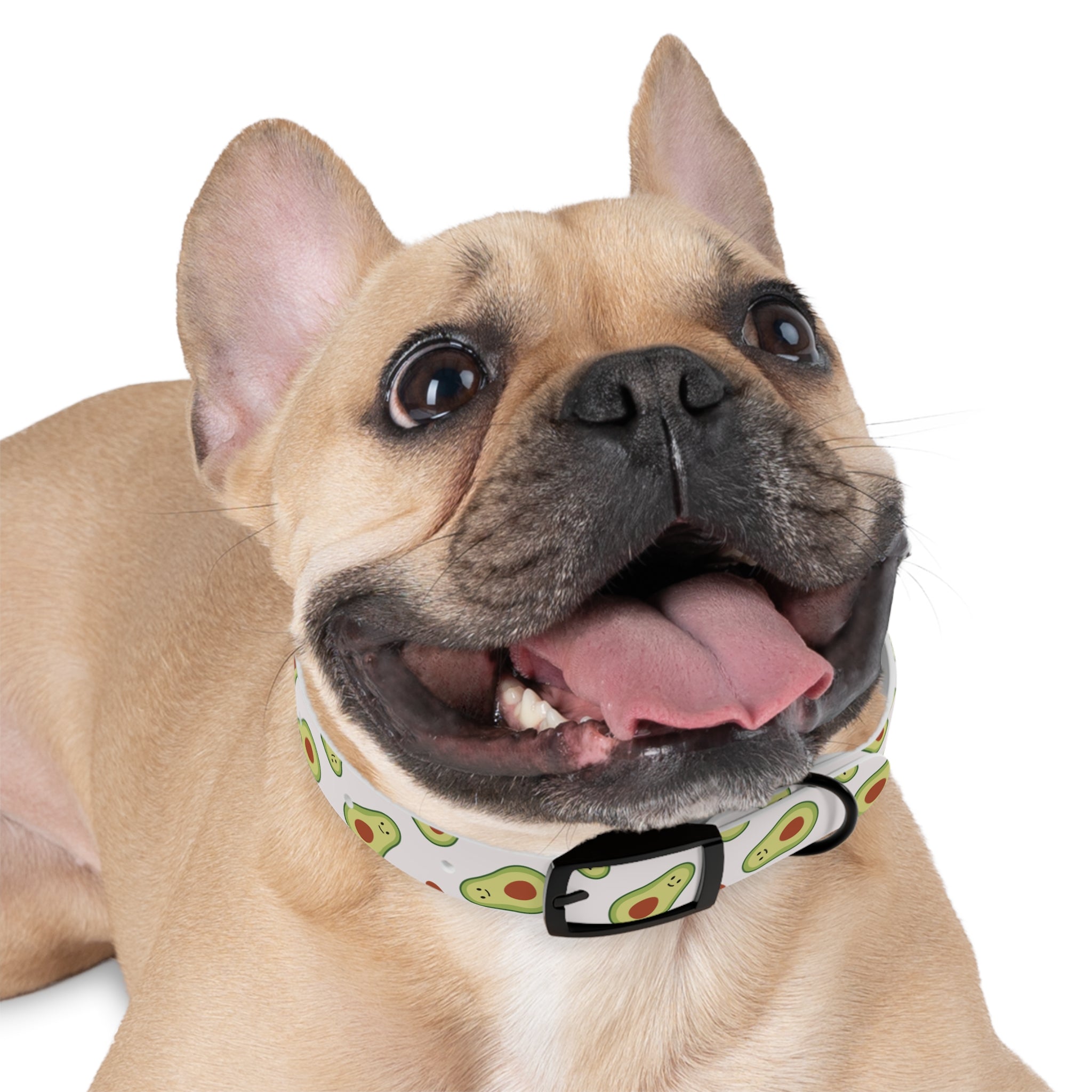 Happy Avocado | Buckle Collar