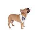 4th of July Cute Bow | Pet Bandana