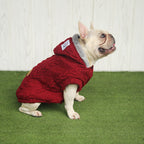 Cozy Fleece Sweater | Hoodie