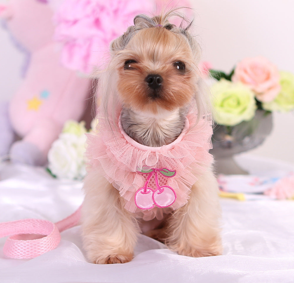 Cherry Sweet Harness | Pet Leash