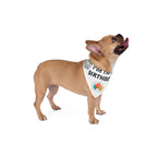 I’m The Birthday | Pet Bandana
