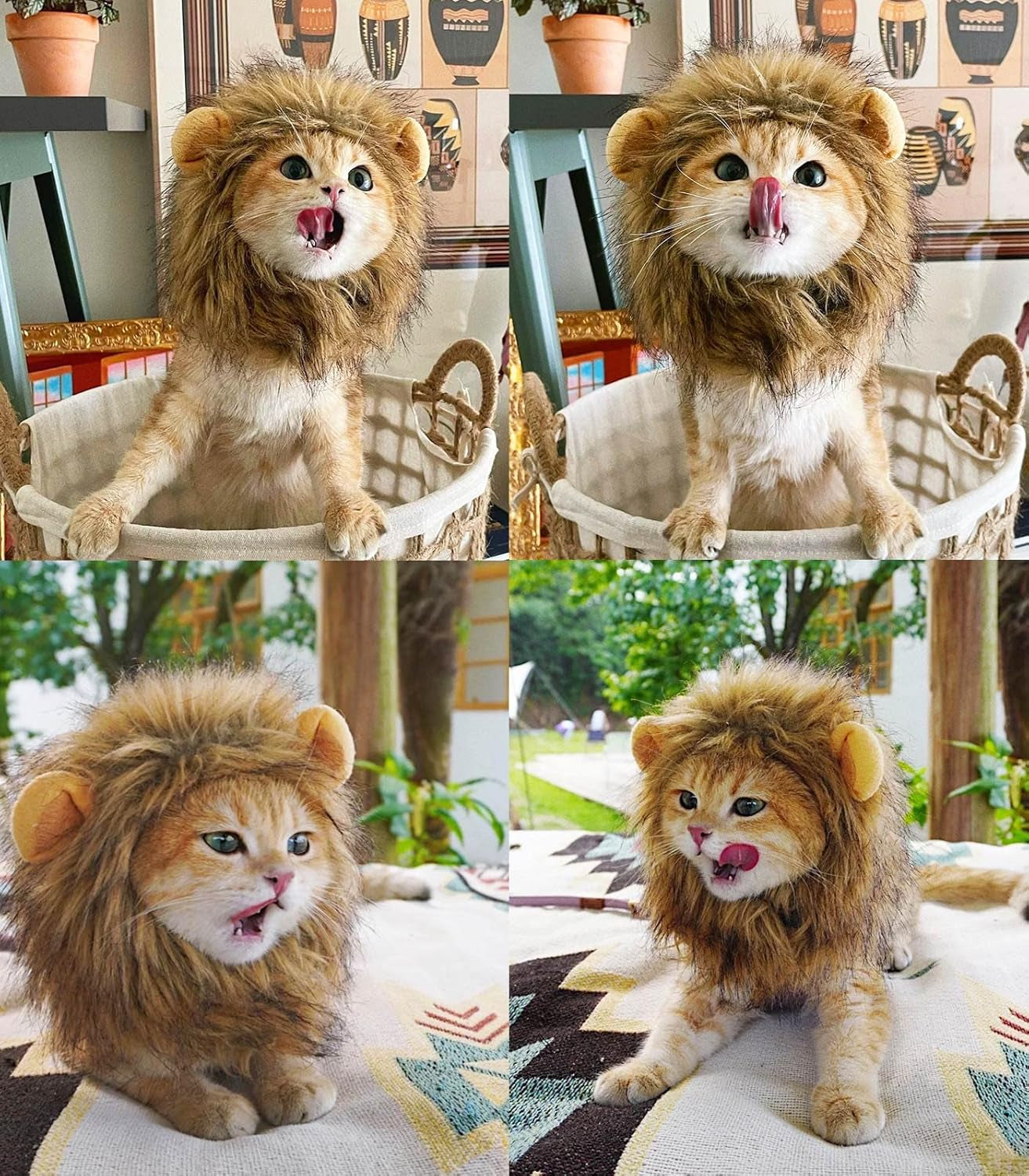 Little Lion Mane | Accessories