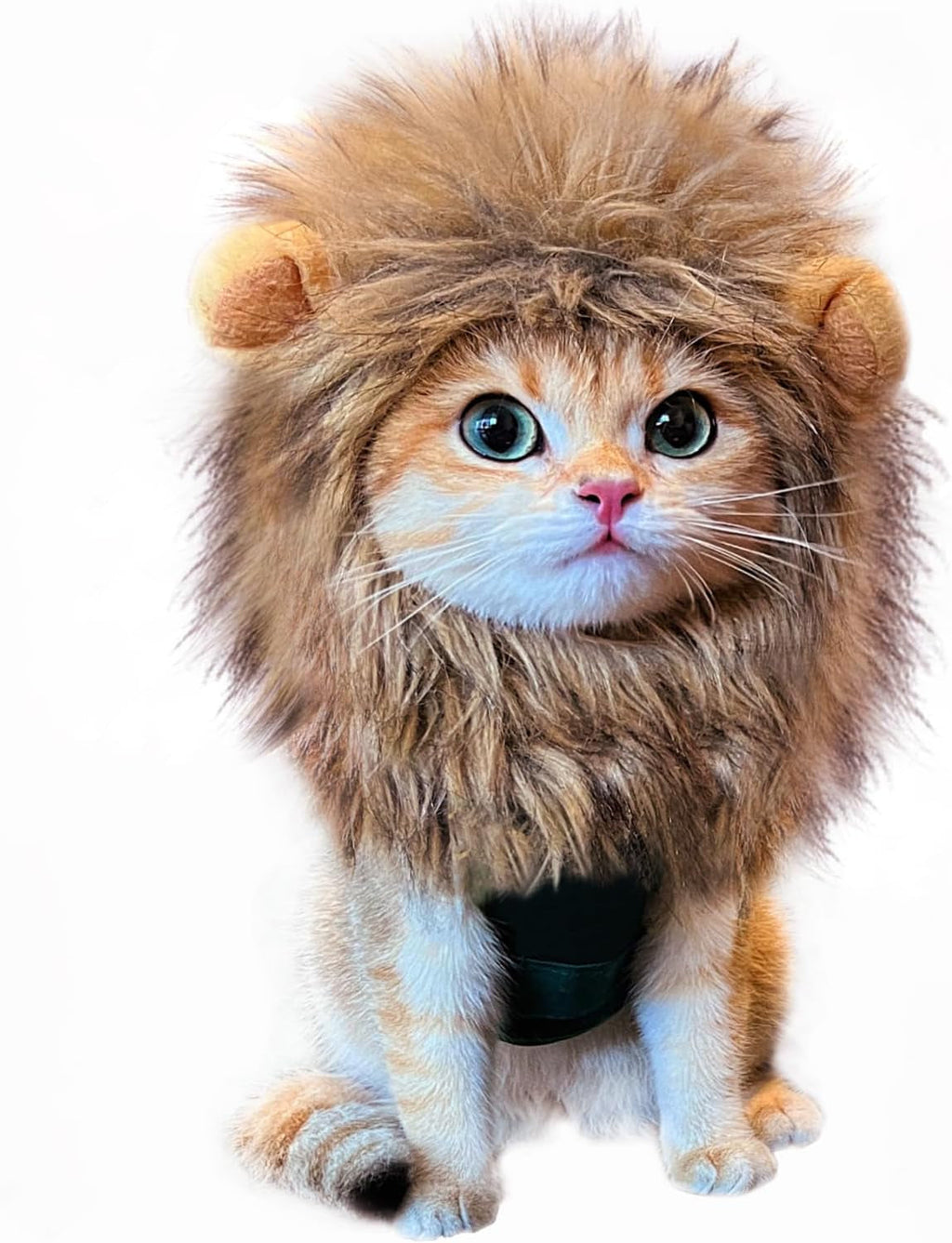 Little Lion Mane | Accessories