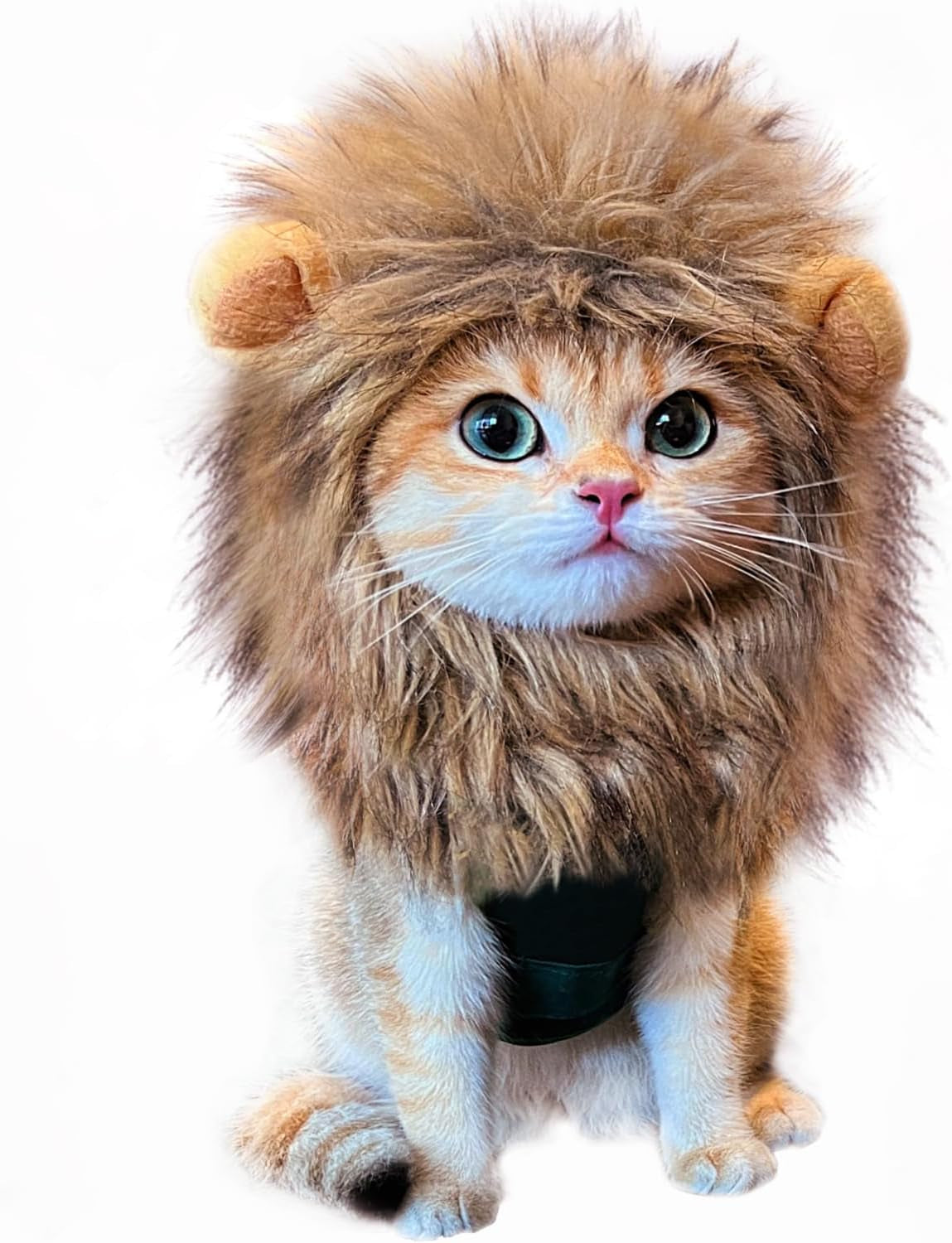 Little Lion Mane | Accessories