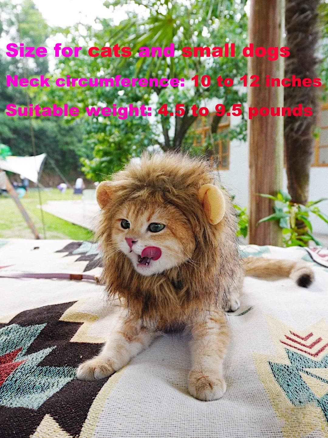 Little Lion Mane | Accessories