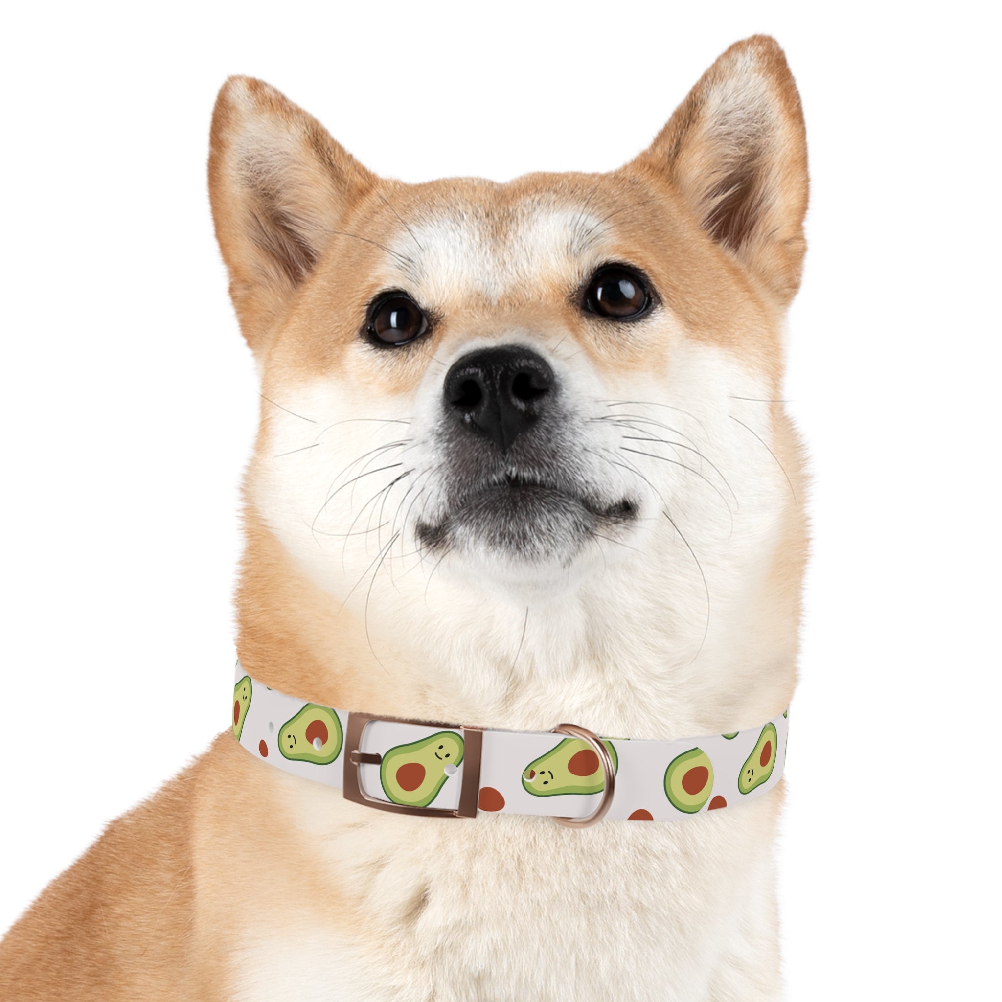 Happy Avocado | Buckle Collar