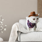 Purrfect Rodeo Hat | Accessories