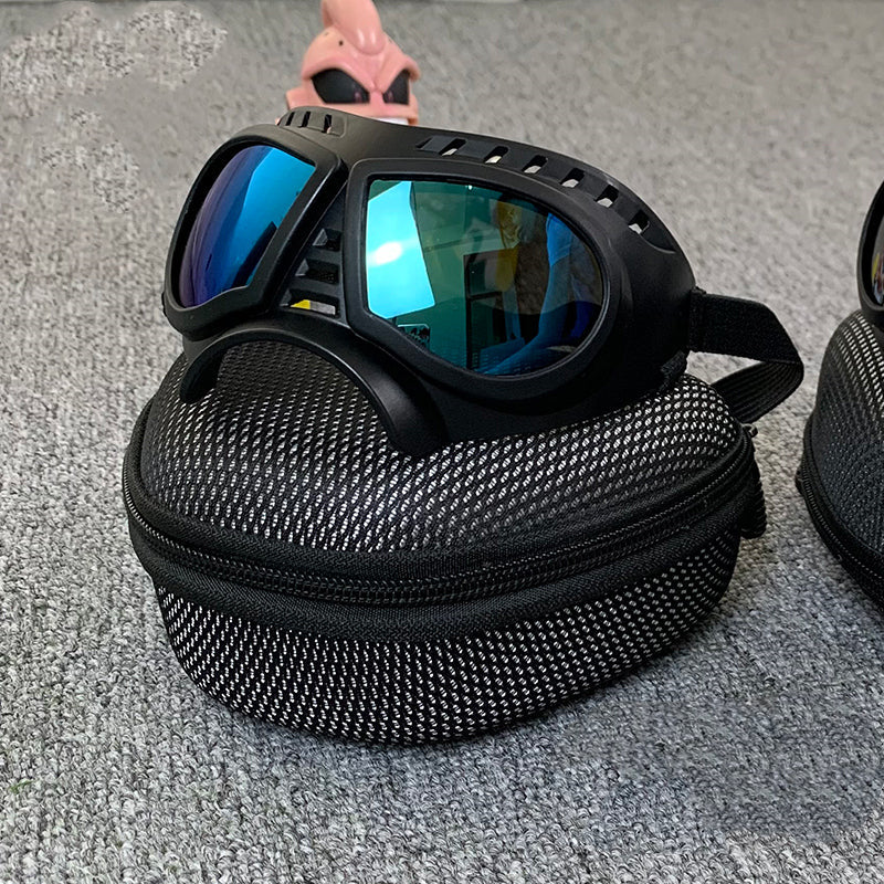 In the Wind Goggles | Sunglasses
