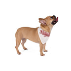 Respectfully I'm Unavailable | Pet Bandana