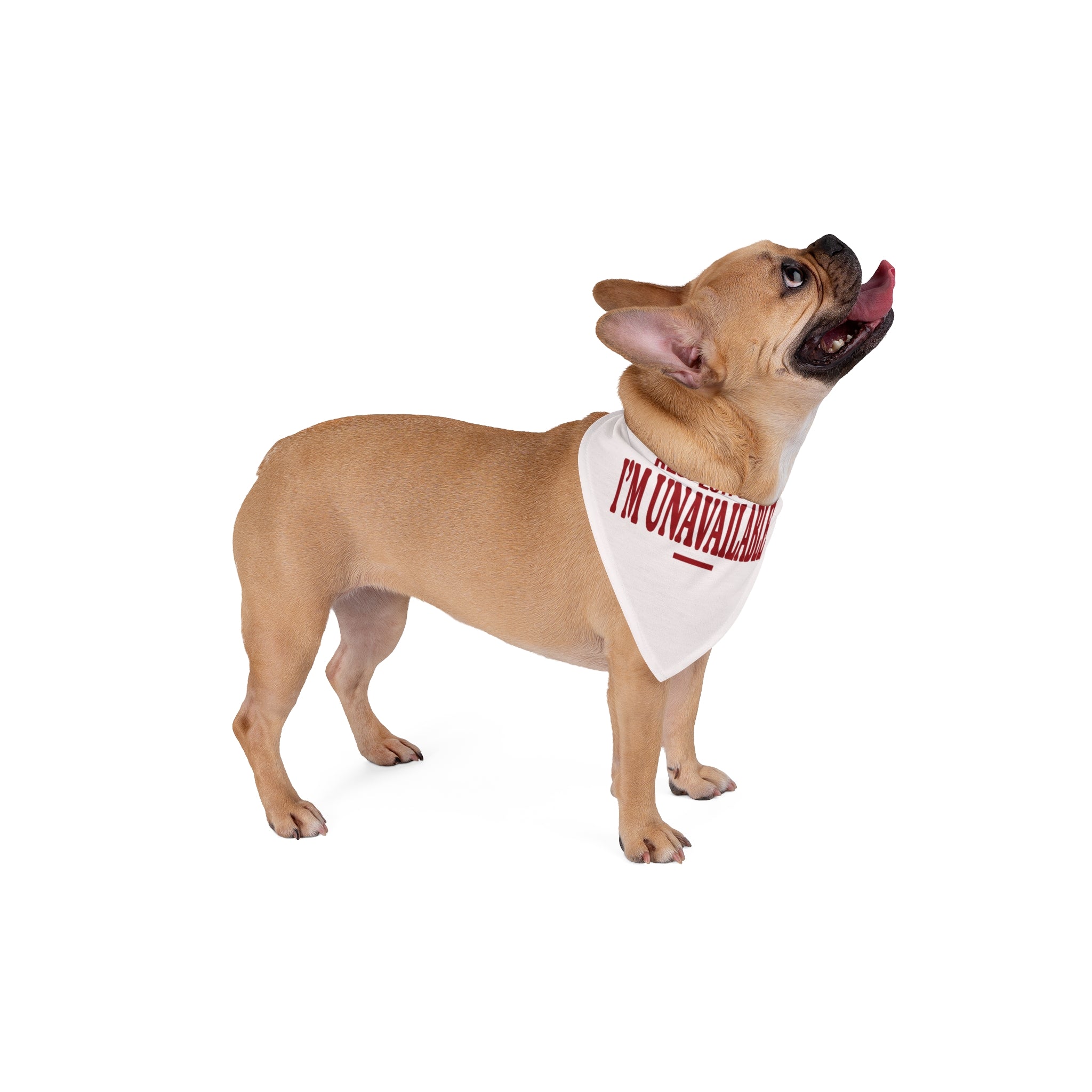 Respectfully I'm Unavailable | Pet Bandana