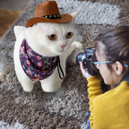 Purrfect Rodeo Hat | Accessories