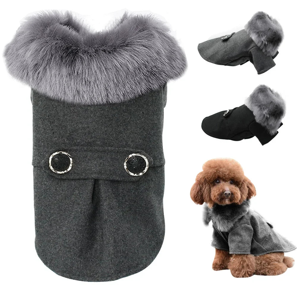 Winter Wonderland | Coat