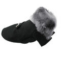 Winter Wonderland | Coat
