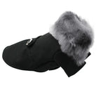 Winter Wonderland | Coat