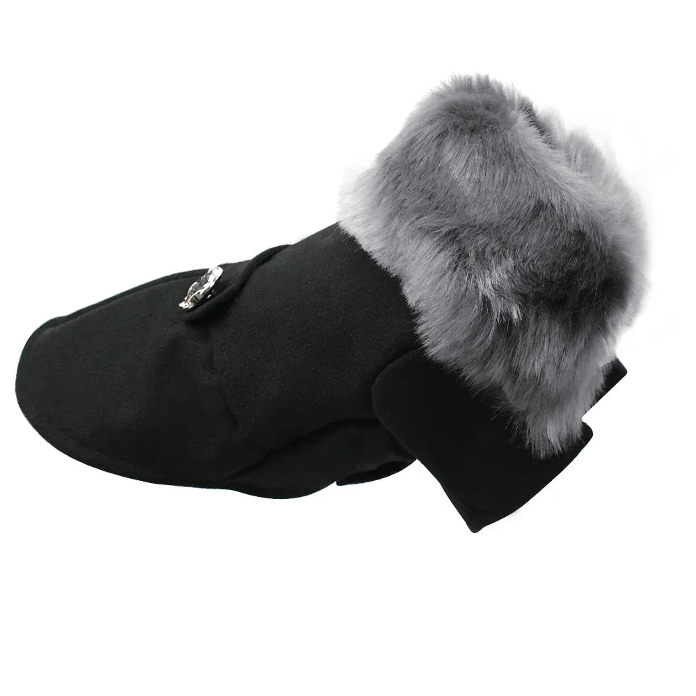 Winter Wonderland | Coat