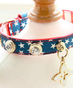 Patriotic Vibes | Pet Collar
