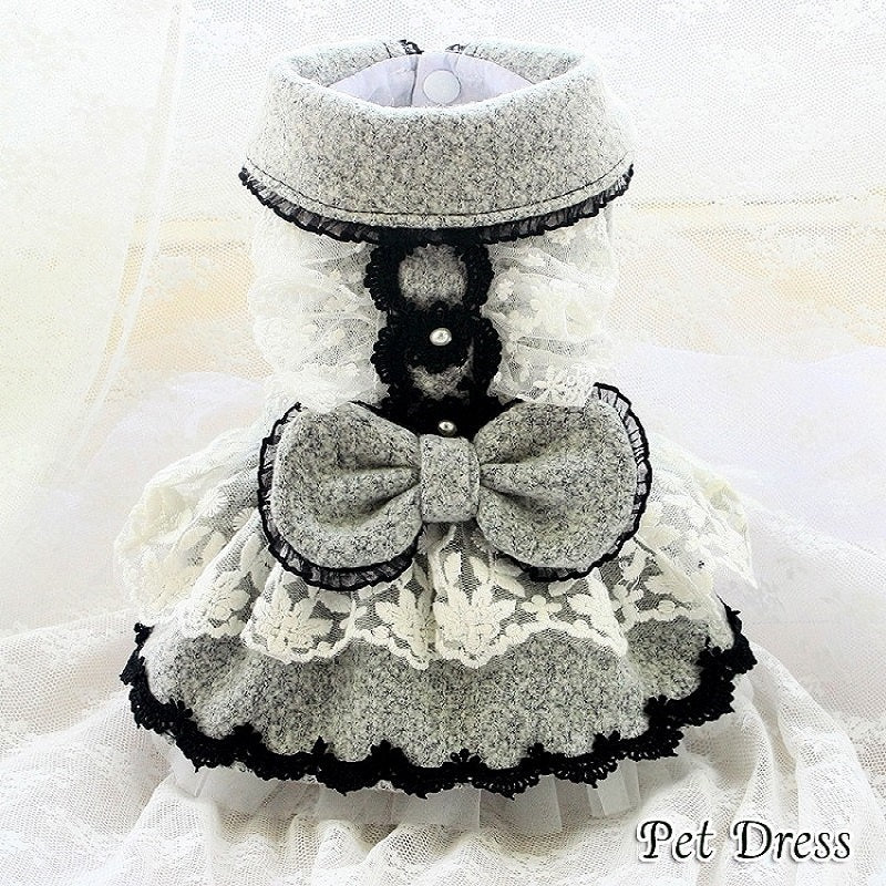 Chic Grey Lace | Luxe Dress