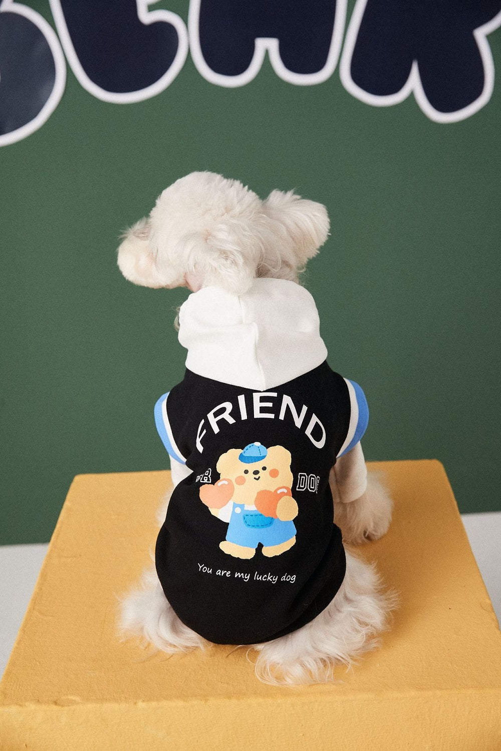 Buddy Buddy Bear | Hoodie
