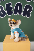 Buddy Buddy Bear | Hoodie