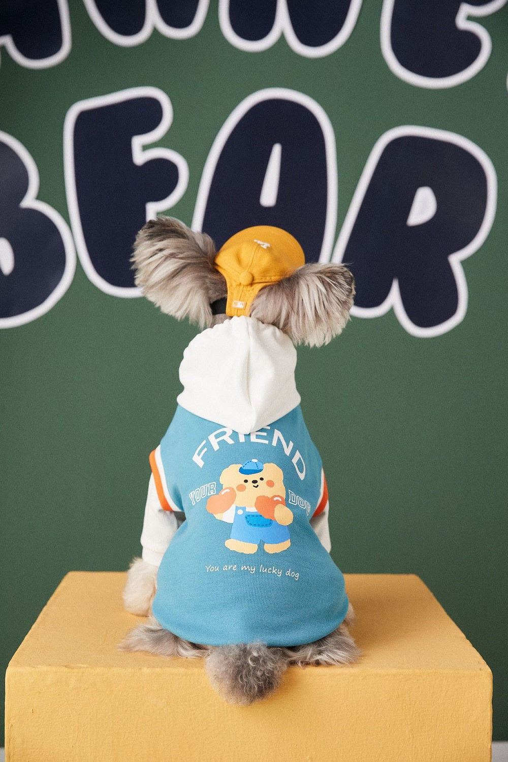 Buddy Buddy Bear | Hoodie