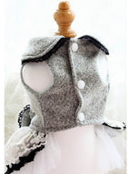 Chic Grey Lace | Luxe Dress