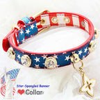 Patriotic Vibes | Pet Collar