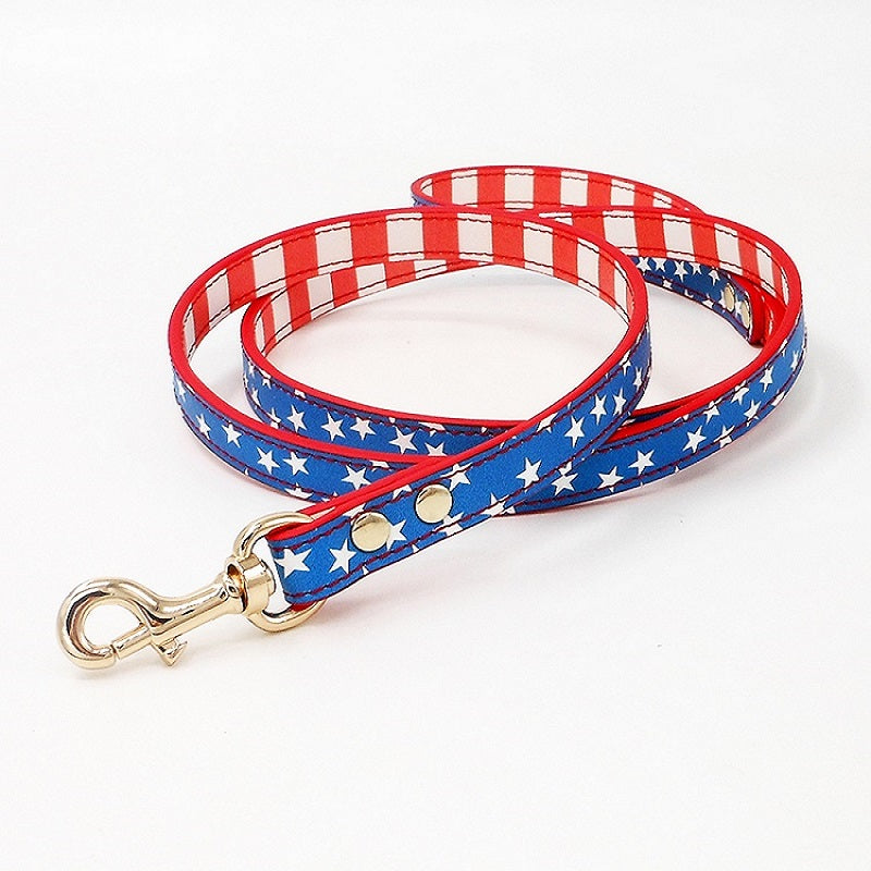 Patriotic Vibes | Pet Collar