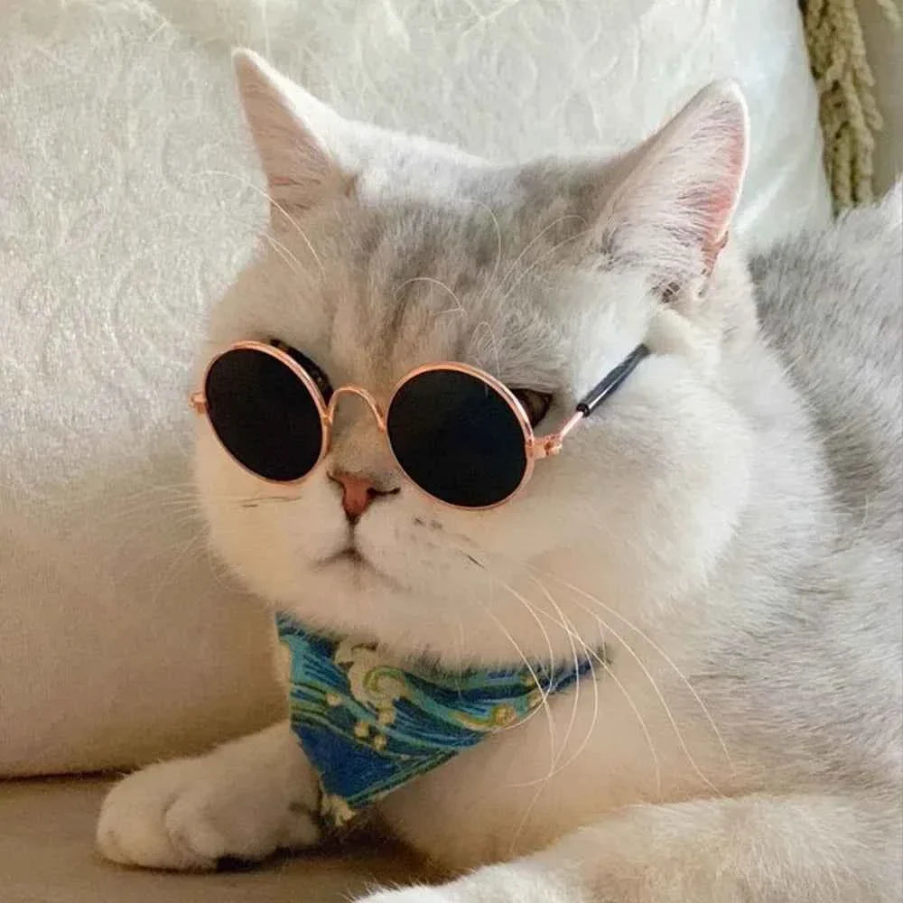 Vintage Retro Sunnies | Sunglasses