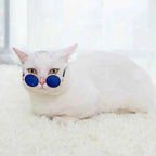 Vintage Retro Sunnies | Sunglasses