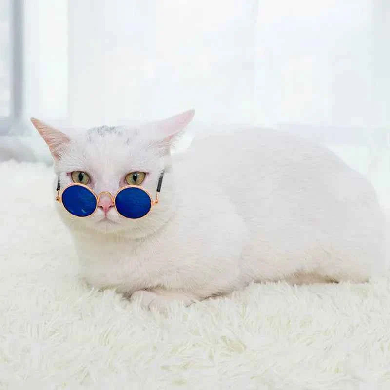 Vintage Retro Sunnies | Sunglasses
