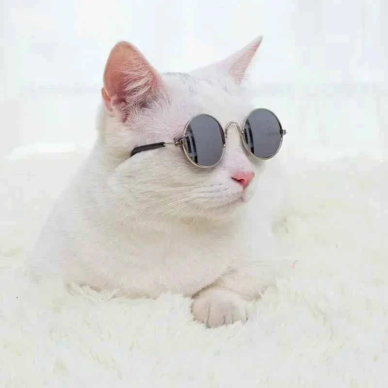Vintage Retro Sunnies | Sunglasses