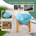 Brewster Dish | Pet Bowl