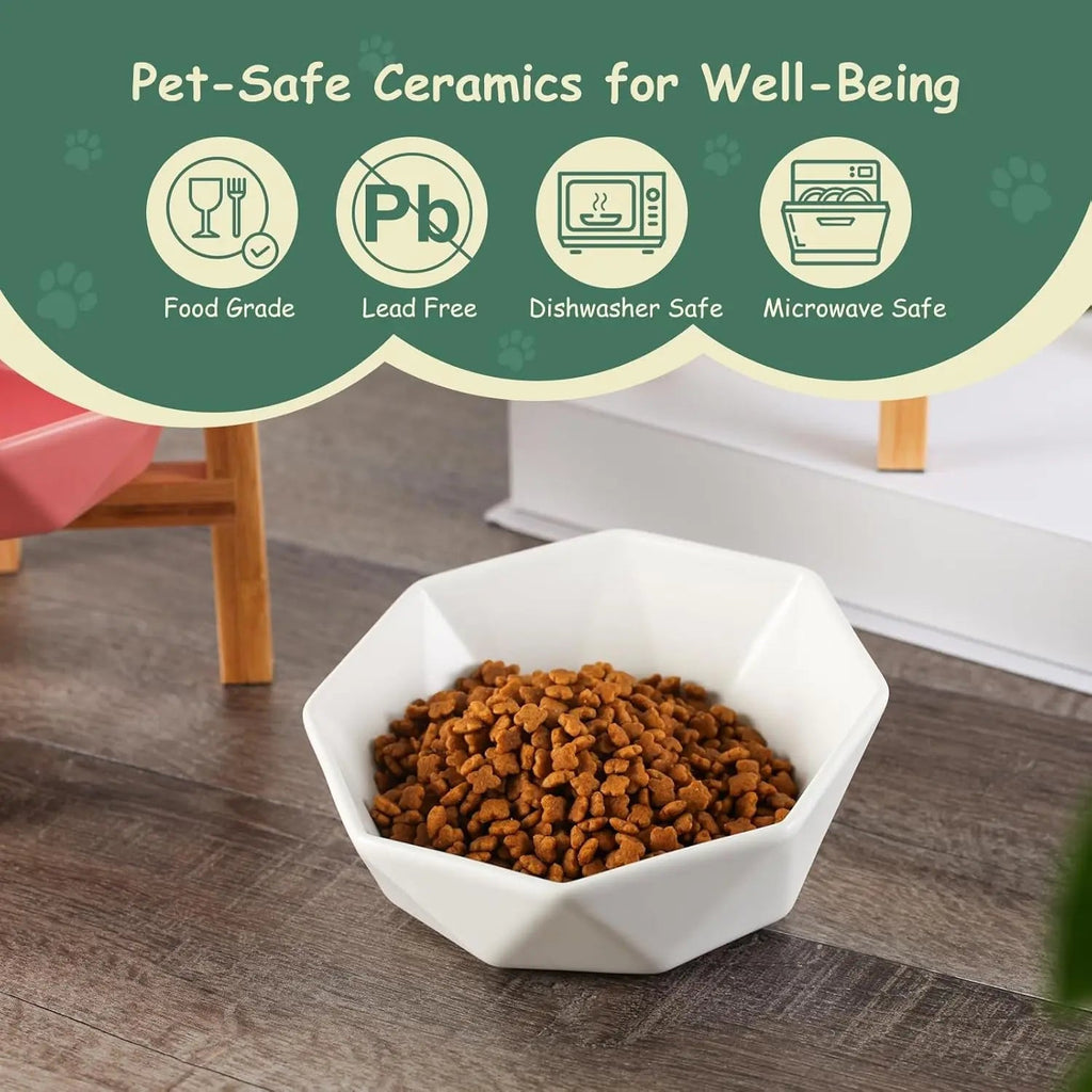 Brewster Dish | Pet Bowl