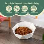 Brewster Dish | Pet Bowl