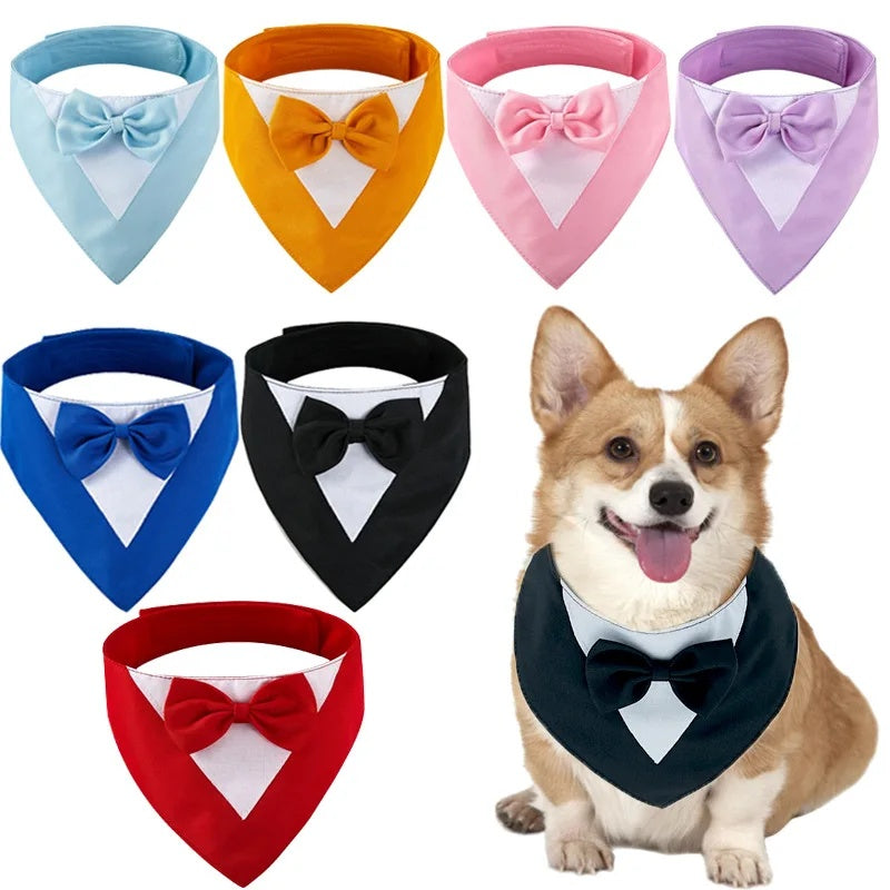 The Nova Luxe Tie | Accessories