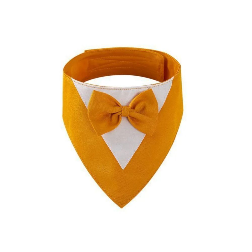 The Nova Luxe Tie | Accessories