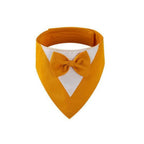 The Nova Luxe Tie | Accessories